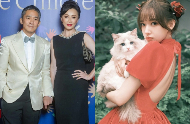 Lương Triều Vỹ vướng tin cặp kè, có bồ nhí, Lưu Gia Linh vội bán nhà 9 triệu đô - Hình 3
