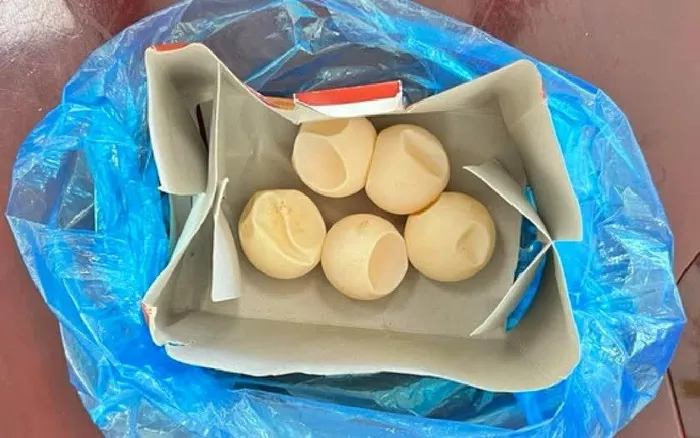 Mẹ chồng con dâu vì 4 quả trứng vích đổi hai năm tù và hơn 1 tỷ đồng - Hình 1