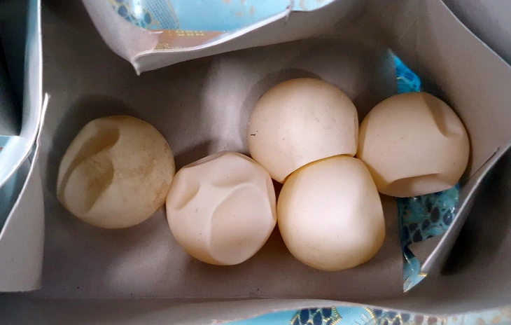 Mẹ chồng con dâu vì 4 quả trứng vích đổi hai năm tù và hơn 1 tỷ đồng - Hình 3
