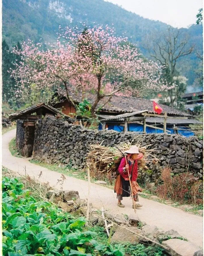 Ngôi làng địa ngục ẩn hiện giữa núi đồi Hà Giang: Đẹp mộng mị hớp hồn du khách - Hình 4