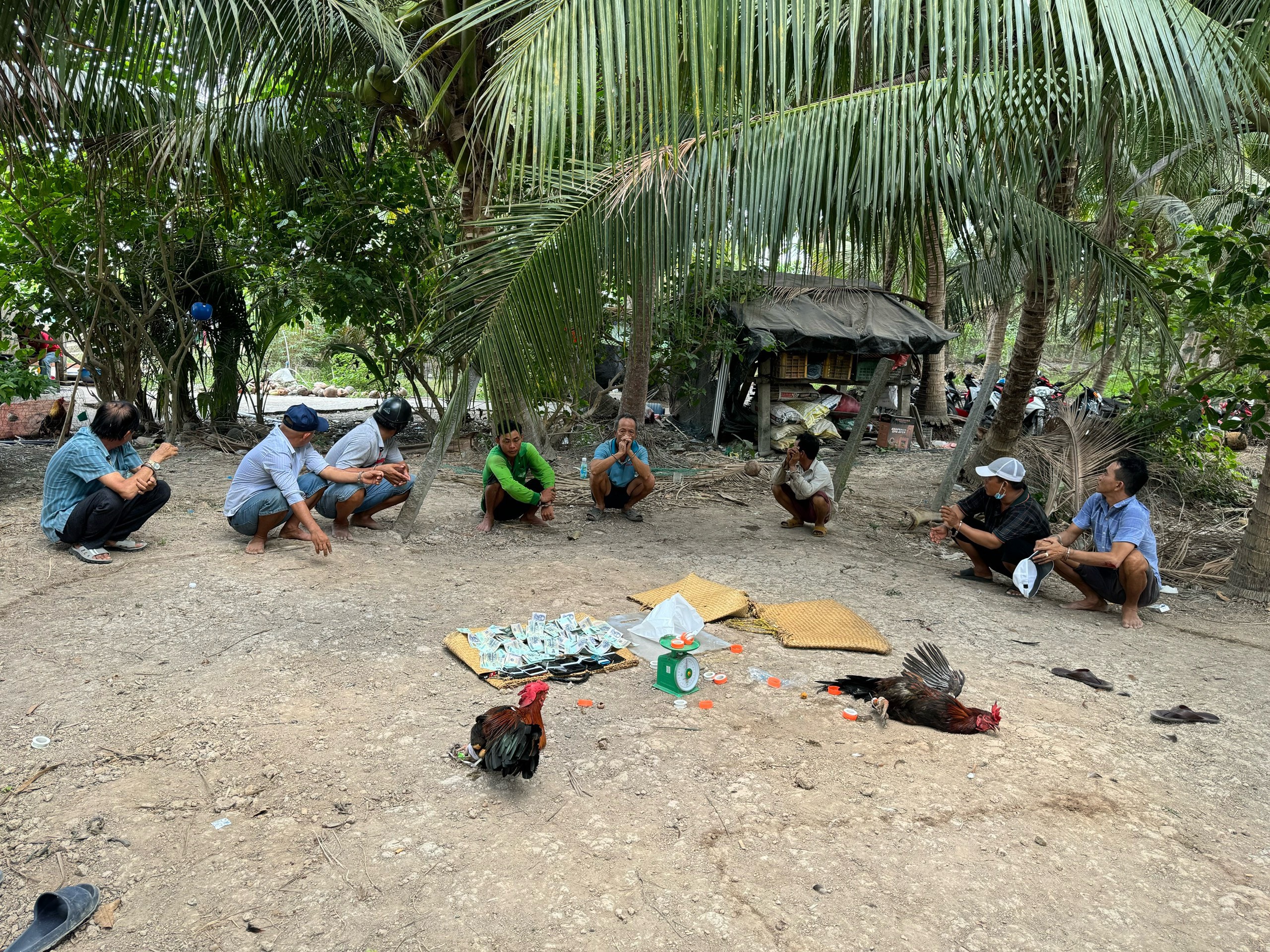 Vĩnh Long: Bắt giữ 40 người đánh bạc online và offline trong vườn - Hình 3