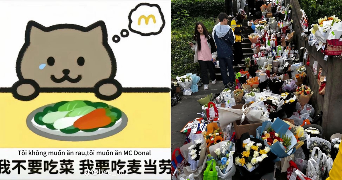 Cả Trung Quốc thương xót sự ra đi của chàng trai 21 tuổi, bị bạn gái đào mỏ 2 tỷ - Hình 10