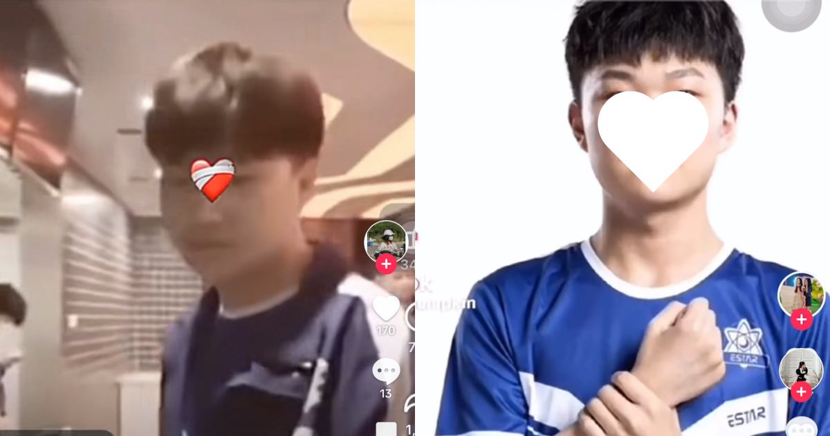 Mèo Béo bị giả mạo, tiktoker đu trend thả thức ăn xuống hồ Tây có thể bị phạt? - Hình 10