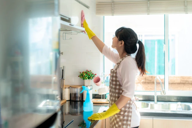 Nữ giúp việc nhận 26 triệu mỗi tháng, lương khủng còn bao ăn ở, sự thật vỡ mộng - Hình 5
