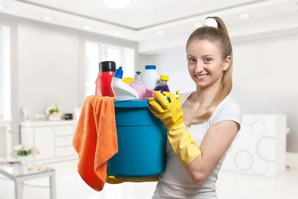Nữ giúp việc nhận 26 triệu mỗi tháng, lương khủng còn bao ăn ở, sự thật vỡ mộng - Hình 6