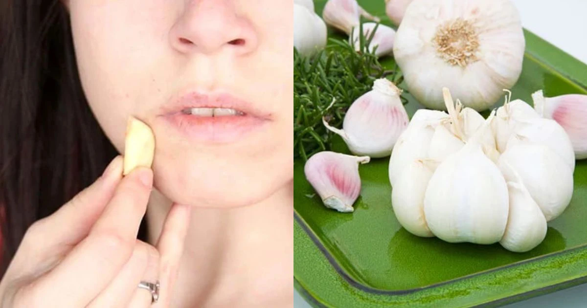 Tỏi khắc tinh của mọi loại tà khí, sức mạnh có như lời đồn ? - Hình 7