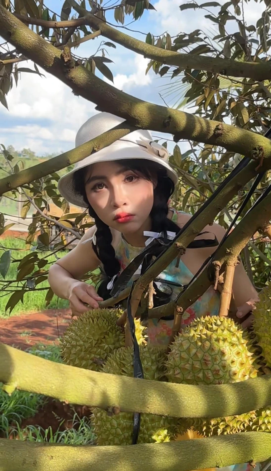 Thơ Nguyễn mạnh miệng bênh vực O Huyền Sầu Riêng, lôi người nông dân vào cuộc - Hình 3