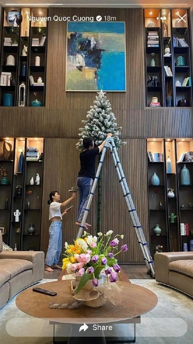 Cường Đô La - Đàm Thu Trang bị soi gia sản khủng giữa lúc mẹ bị công an bắt - Hình 2