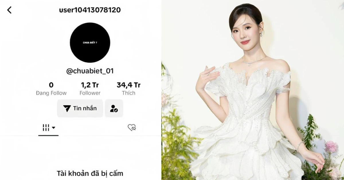 Kênh Chưa Biết chính thức bị bay màu, loạt nghệ sĩ, tiktoker từng là nạn nhân - Hình 8