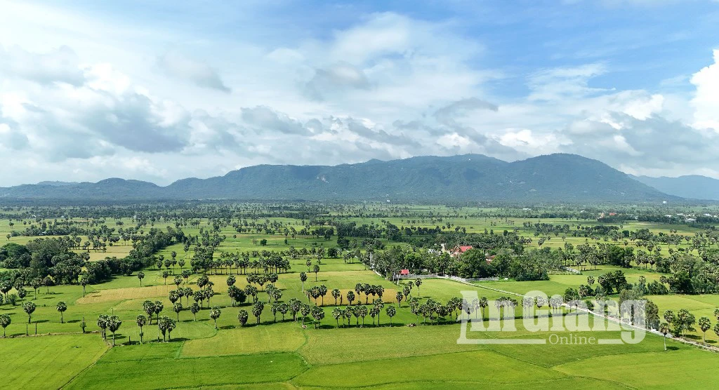 Chiêm ngưỡng vẻ đẹp của cây thốt nốt vùng Bảy Núi - Hình 13