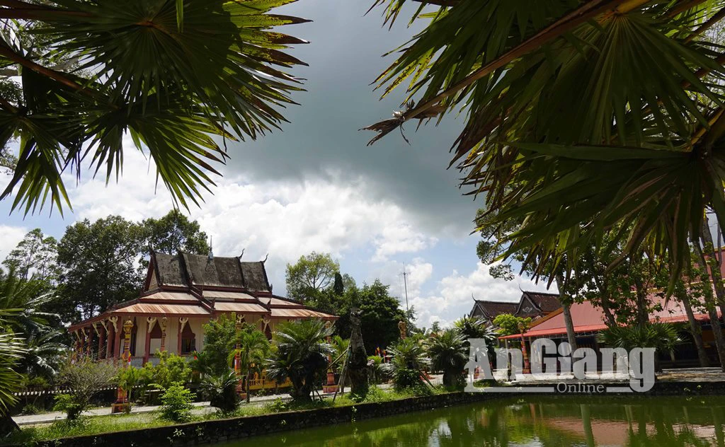 Chiêm ngưỡng vẻ đẹp của cây thốt nốt vùng Bảy Núi - Hình 7