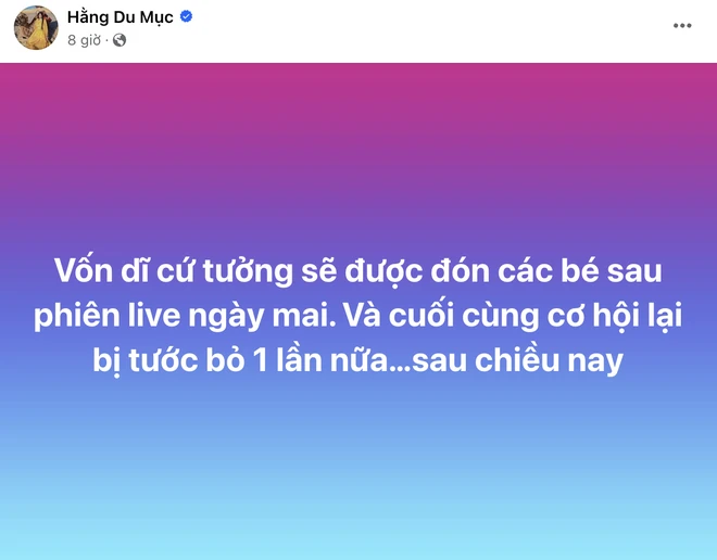 Hằng Du Mục bị chồng tước quyền gặp con, cầu cứu giữa đêm, cõi mạng phẫn nộ - Hình 2