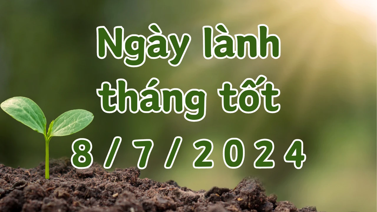 Ngày 8/7/2024 là ngày xấu không nên làm các việc như hôn thú, cưới hỏi, xây dựng, sửa chữa nhà, tranh chấp, mai táng, sửa mộ, cải mộ. - Hình 1