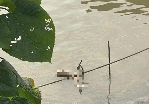 Kẻ gây án thiếu nữ thả sông Hồng sắp hầu tòa, mức án dự đoán lên tới kịch khung - Hình 2