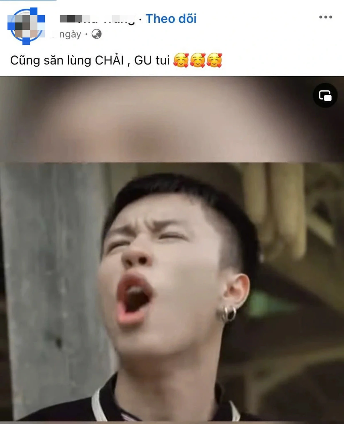 Chải Long Vũ trở thành chồng quốc dân, bị nói tung hô quá lố, chỉ ăn bám - Hình 2