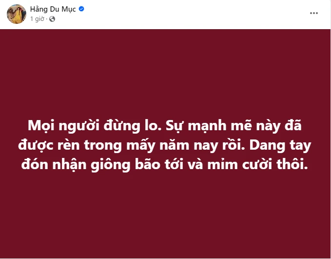 Hằng Du Mục gặp vận xui sau phiên tòa, kênh Tiktok nghi bị hack, sự thật vỡ lẽ - Hình 6