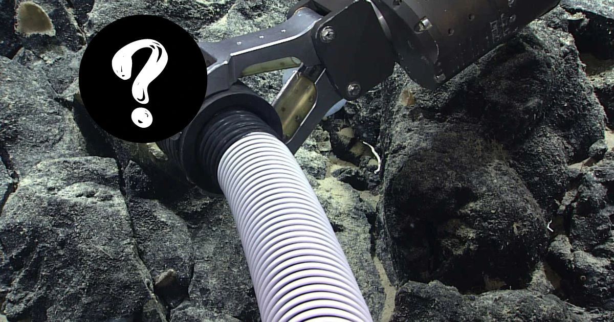 Thám hiểm đáy đại dương sâu 3.300m: thợ lặn đứng tim vì vật thể 10cm khó hiểu? - Hình 10
