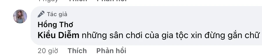 Thơ Nguyễn mỉa mai Hoa hậu Quế Anh, ẩn ý MGVN là sân chơi của những gia tộc - Hình 5