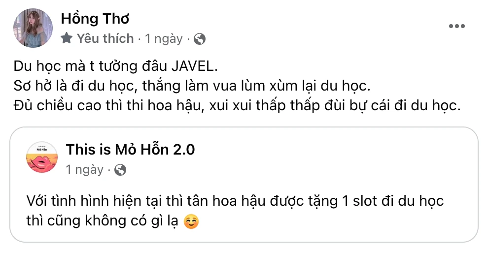 Thơ Nguyễn mỉa mai Hoa hậu Quế Anh, ẩn ý MGVN là sân chơi của những gia tộc - Hình 4