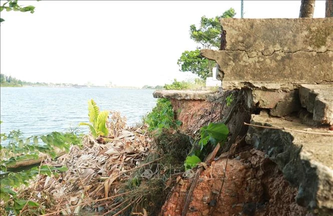 Quảng Trị: Nỗ lực ứng phó với sạt lở bờ sông Thạch Hãn - Hình 1