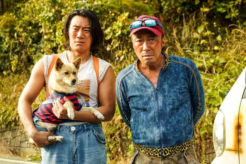 Review Đẹp Trai Thấy Sai Sai: kinh dị đội lốt phim hài, xấu cũng là một cái tội - Hình 9