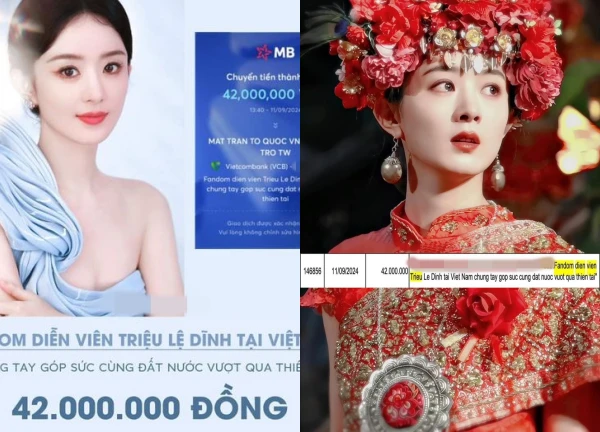 Triệu Lệ Dĩnh nức mũi tự hào vì fan không phông bạt, kết quả sao kê gây choáng - Hình 2