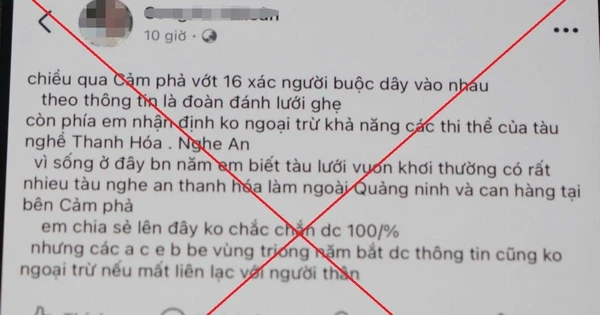 Quảng Ninh: người loan tin bụng cá câu được có bàn tay người đã bị xử lý - Hình 5
