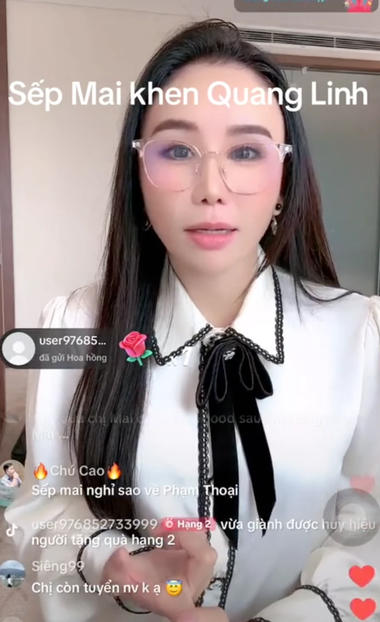 Quang Linh Vlogs được Sếp em Mailisa ngưỡng mộ, khen tới tấp trên livestream - Hình 2