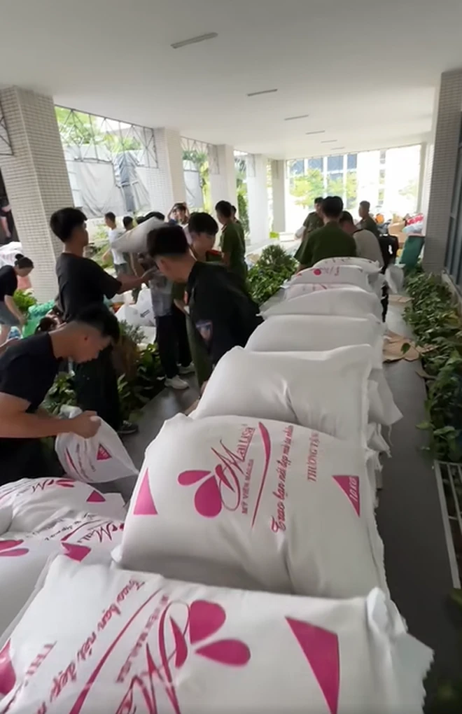 Sếp em Mailisa bị anti hạ bệ, đáp trả cực thấm, ai nấy nín bặt, phục sát đất - Hình 5