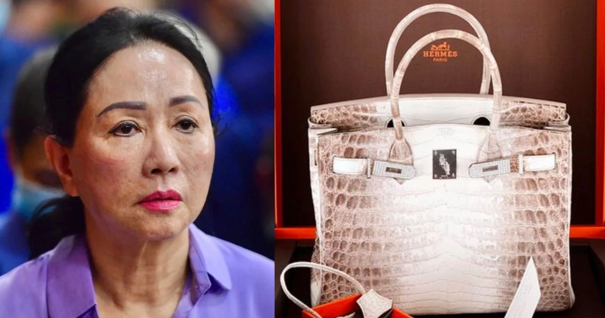 Trương Mỹ Lan xin lại 2 túi Hermes bạch tạng, nữ trang chục carat để làm kỷ niệm - Hình 8