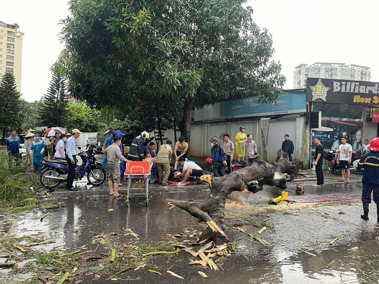 Hà Nội: Giông lốc bão Yagi làm cây bật gốc đè chết người, giao thông hỗn loạn - Hình 1
