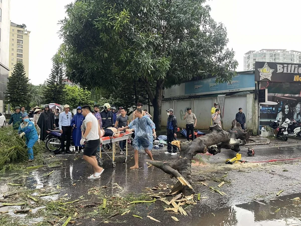 Hà Nội: Giông lốc bão Yagi làm cây bật gốc đè chết người, giao thông hỗn loạn - Hình 2