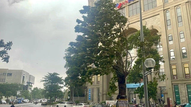 Hà Nội: Xót xa hoàn cảnh người mẹ bị cây bật gốc đè chết, chuẩn bị sang Hàn - Hình 4