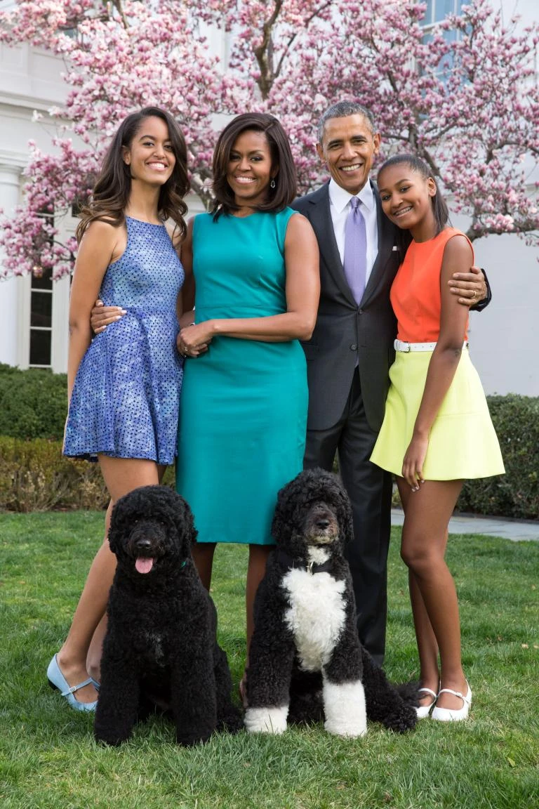 Con gái cựu tổng thống Obama làm đạo diễn - Hình 2