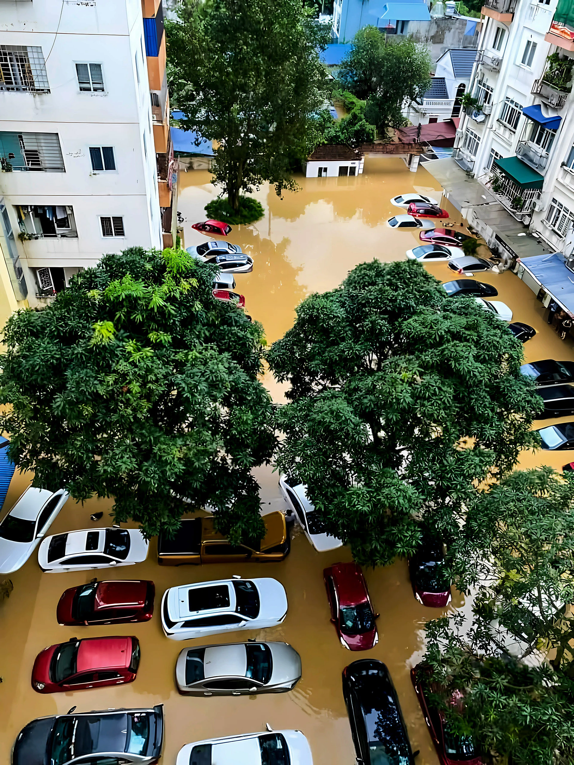 Nước lũ sông Cầu dâng cao, TP Thái Nguyên bị ngập lụt - Hình 6