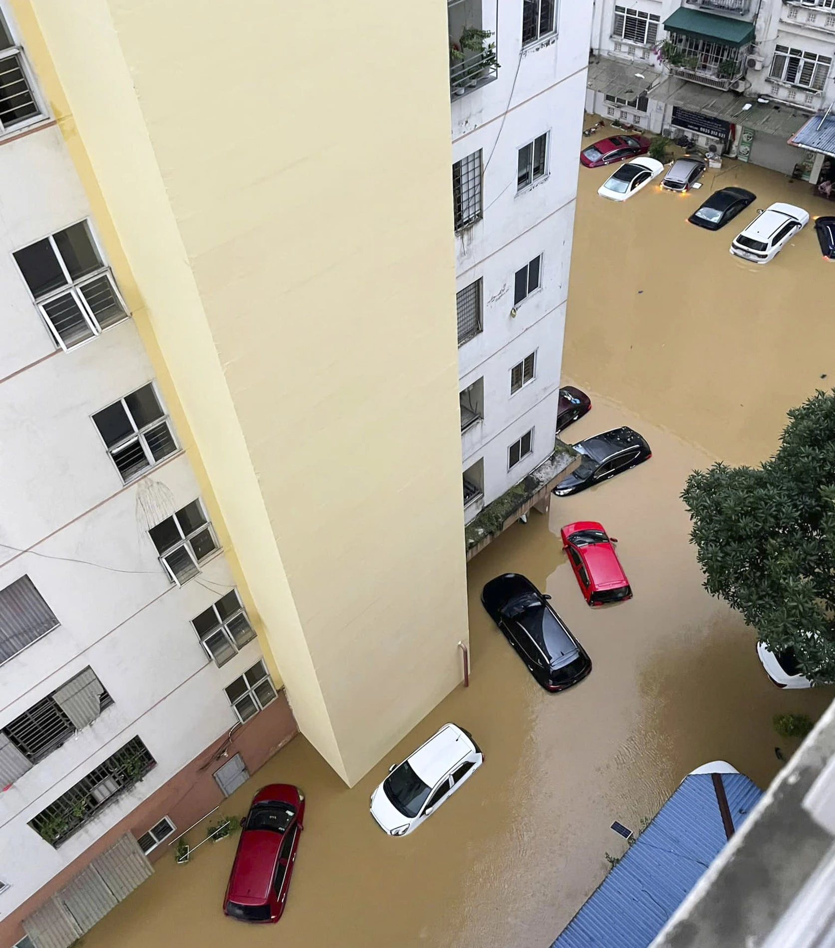 Nước lũ sông Cầu dâng cao, TP Thái Nguyên bị ngập lụt - Hình 9