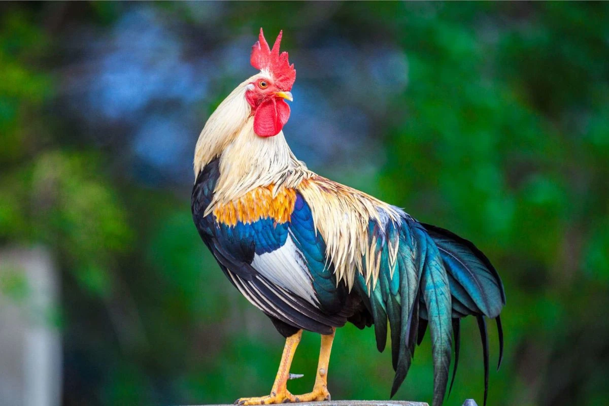 Qua ngày giông bão, 3 tuổi vượt ngàn chông gai, tài lộc bùng nổ - Hình 2