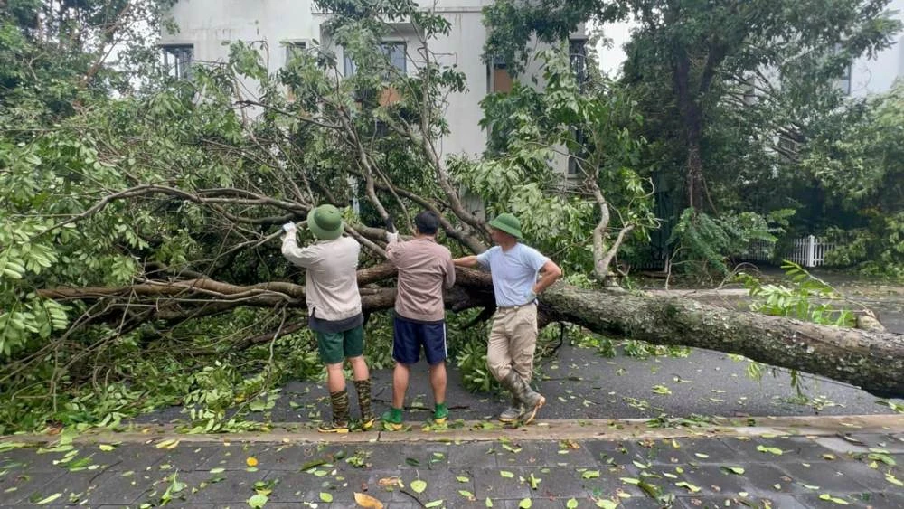 Xuân Bắc xuống đường dọn dẹp cùng 2 con sau bão Yagi, làm điều ai cũng cảm kích - Hình 1