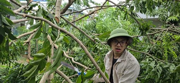 Xuân Bắc xuống đường dọn dẹp cùng 2 con sau bão Yagi, làm điều ai cũng cảm kích - Hình 6