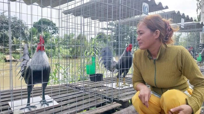 Chàng trai An Giang thu nhập vài chục triệu mỗi tháng nhờ đúc tượng gà vịt từ xi măng - Hình 3