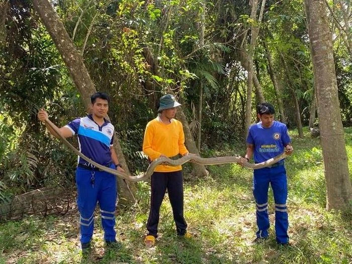 Đi kiểm tra bẫy cá, người đàn ông sốc nặng khi thấy cảnh đáng sợ - Hình 3