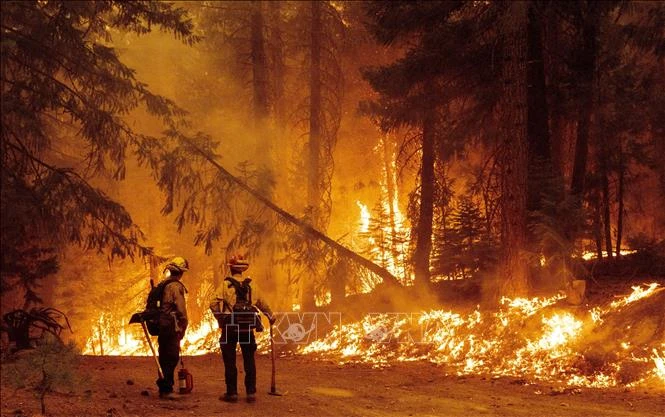 Cháy rừng ở California: Rùng mình lời kể của người dân, thiêu rụi trong chớp mắt - Hình 5