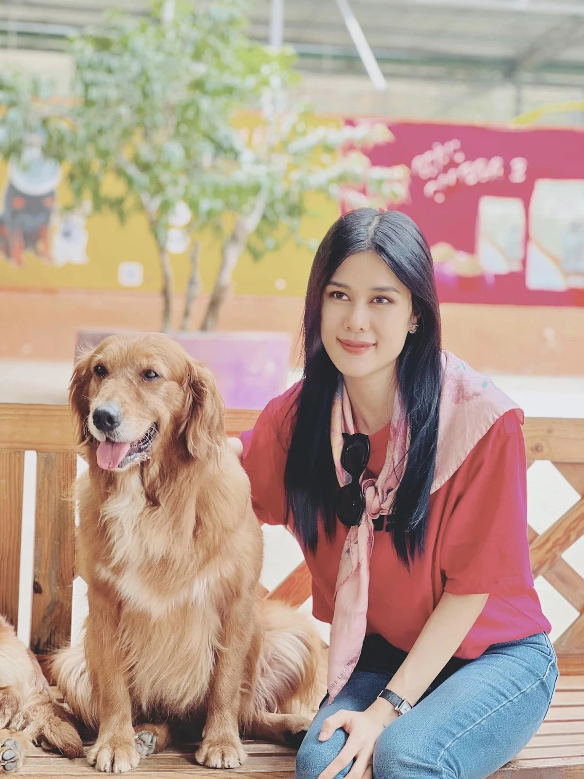Ca sĩ Phúc Anh: 3 lần đỗ thủ khoa, cô của Đỗ Thị Hà, đi thiện nguyện xuyên Việt - Hình 7