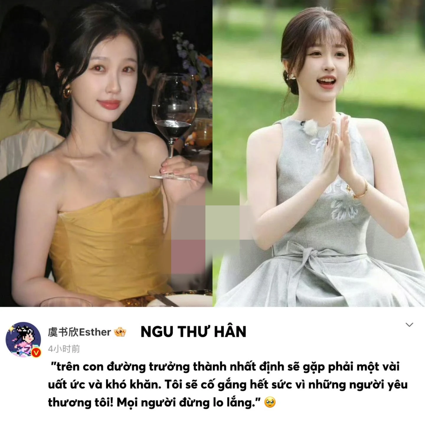 Sốc: Triệu Lệ Dĩnh từng bị tác động giống Triệu Lộ Tư, loạt sao chung số phận - Hình 3