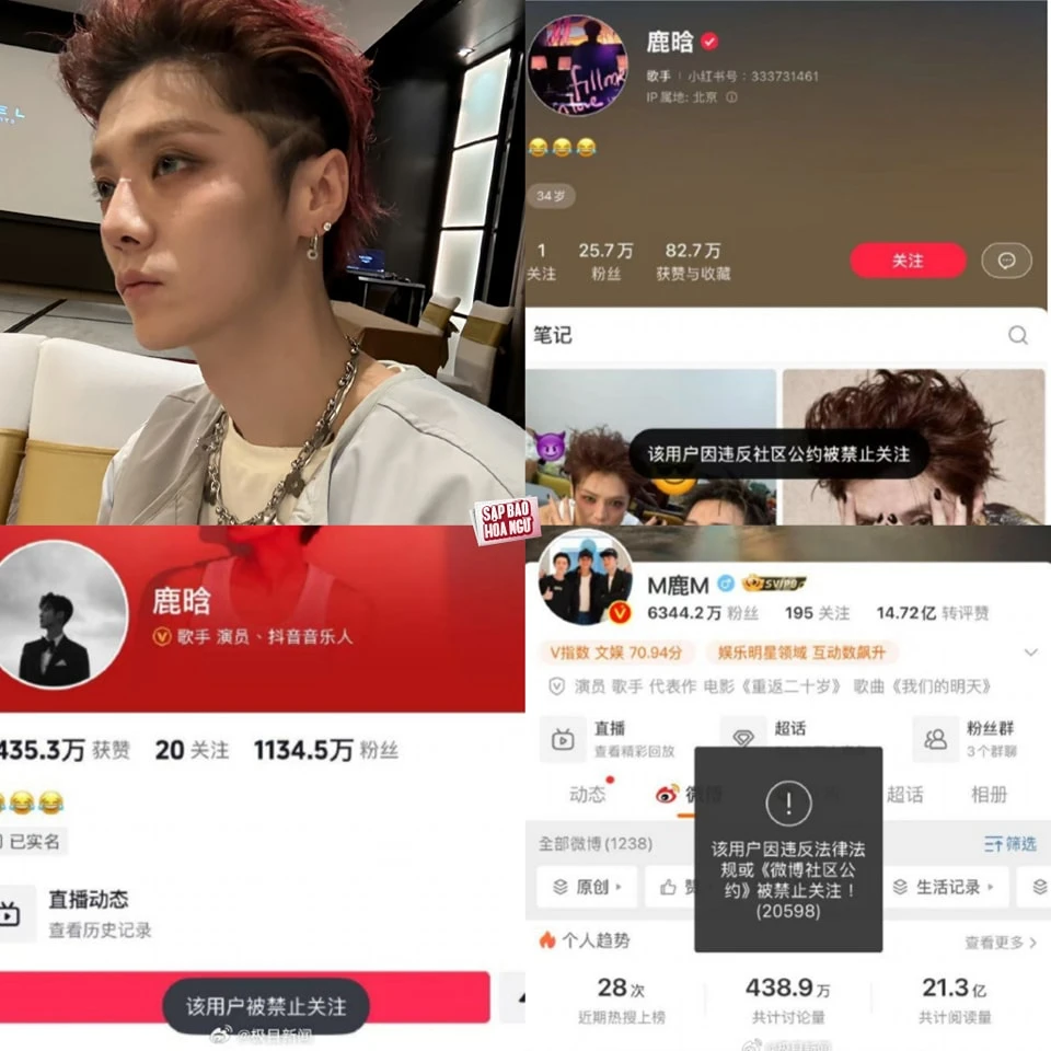Đỉnh Lưu Lộc Hàm chè chén văng tục, nhận án treo giò, hết đường comeback? - Hình 2