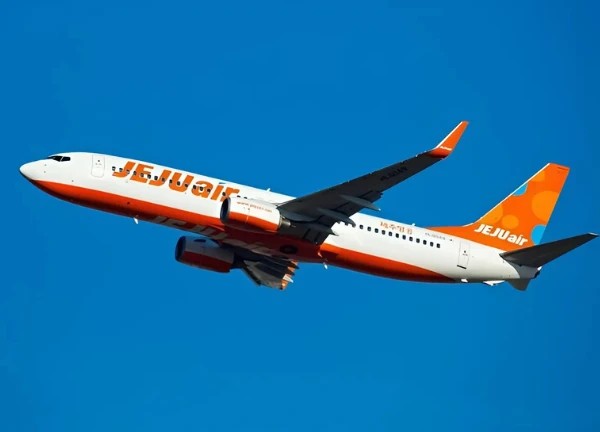 Bộ trưởng gục ngã: Lời từ chức đẫm nước mắt sau thảm kịch Jeju Air! - Hình 1