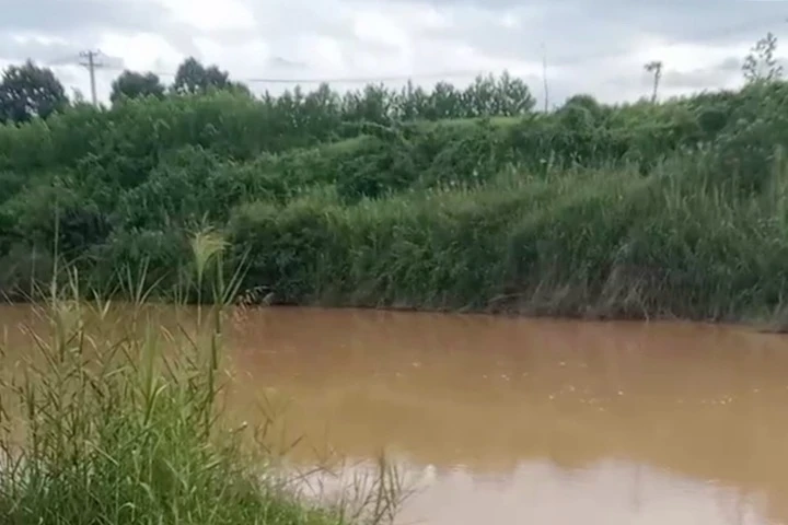 Hai ngày chưa bắt được con cá sấu sổng chuồng cắn người ở Khánh Hòa - Hình 1