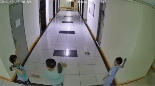 Vụ con ném dép khiến thang máy chung cư hỏng: Chốt phương án đền tiền - Hình 2