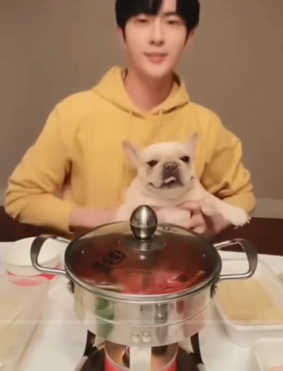 Clip Vu Mông Lung xin tha cho chú chó bị rao bán 100k đô, có bóng Tống Y Nhân? - Hình 1