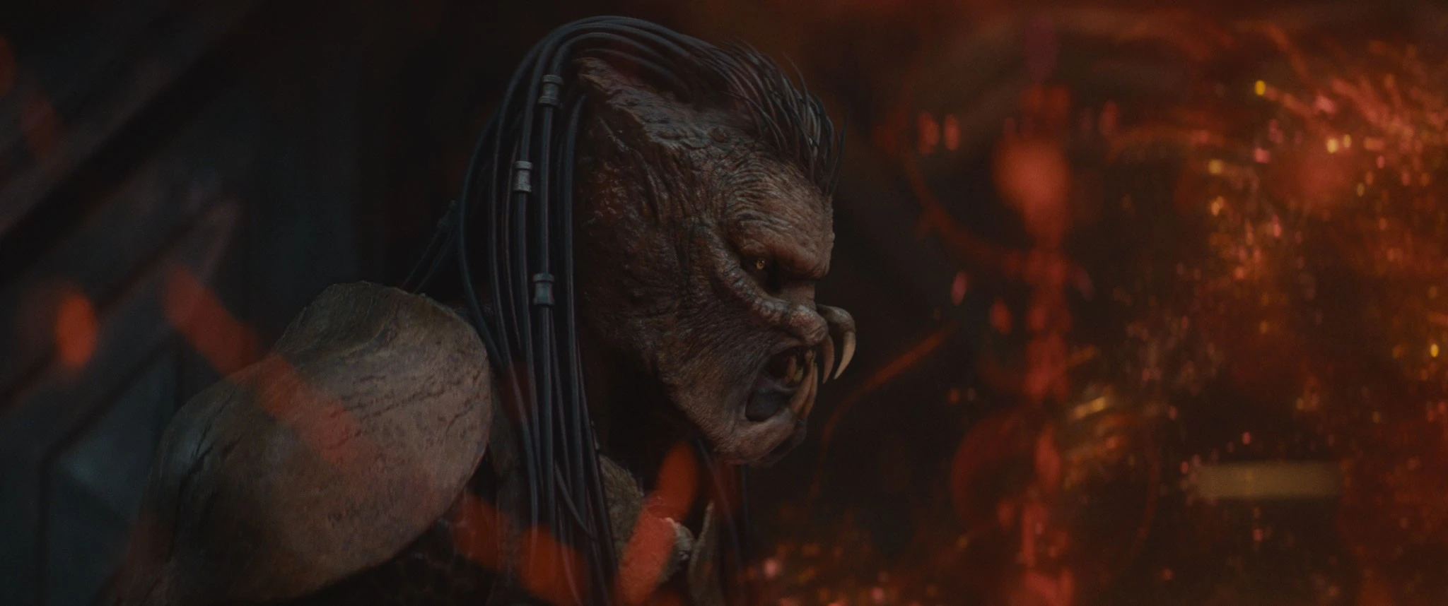 Elle Fanning lột xác trong thương hiệu hành động máu me, bạo lực bậc nhất màn ảnh rộng - Hình 6